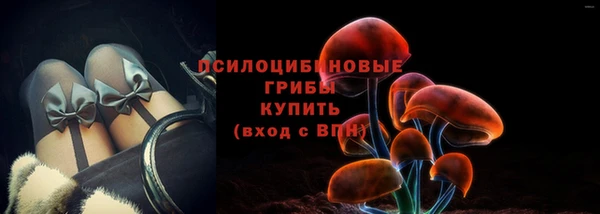 хмурый Елабуга