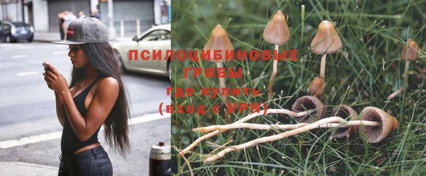 хмурый Елабуга