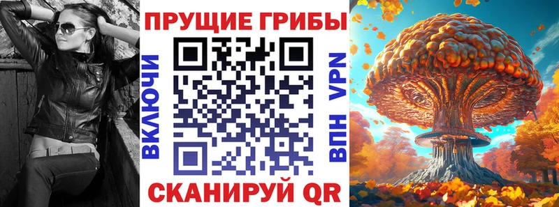 Псилоцибиновые грибы GOLDEN TEACHER Искитим
