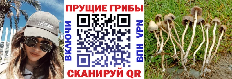 Галлюциногенные грибы мухоморы  Купить закладки  Искитим 